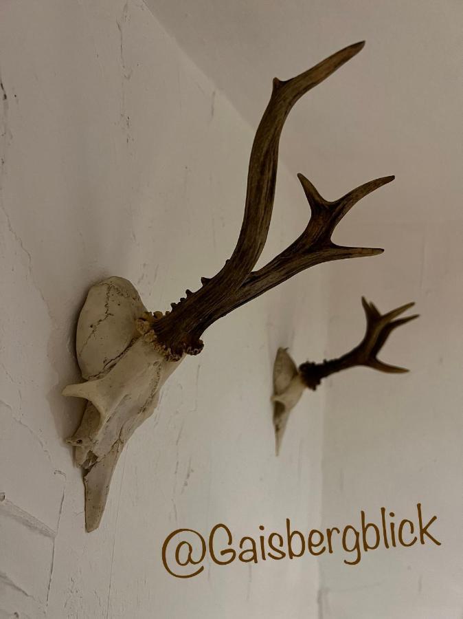 Gaisbergblick Daire Molln Dış mekan fotoğraf